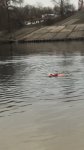 IMG-81ba754286d944696f75f777c8e641b6-V