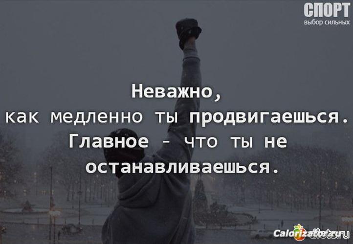 789662 29052-550x500