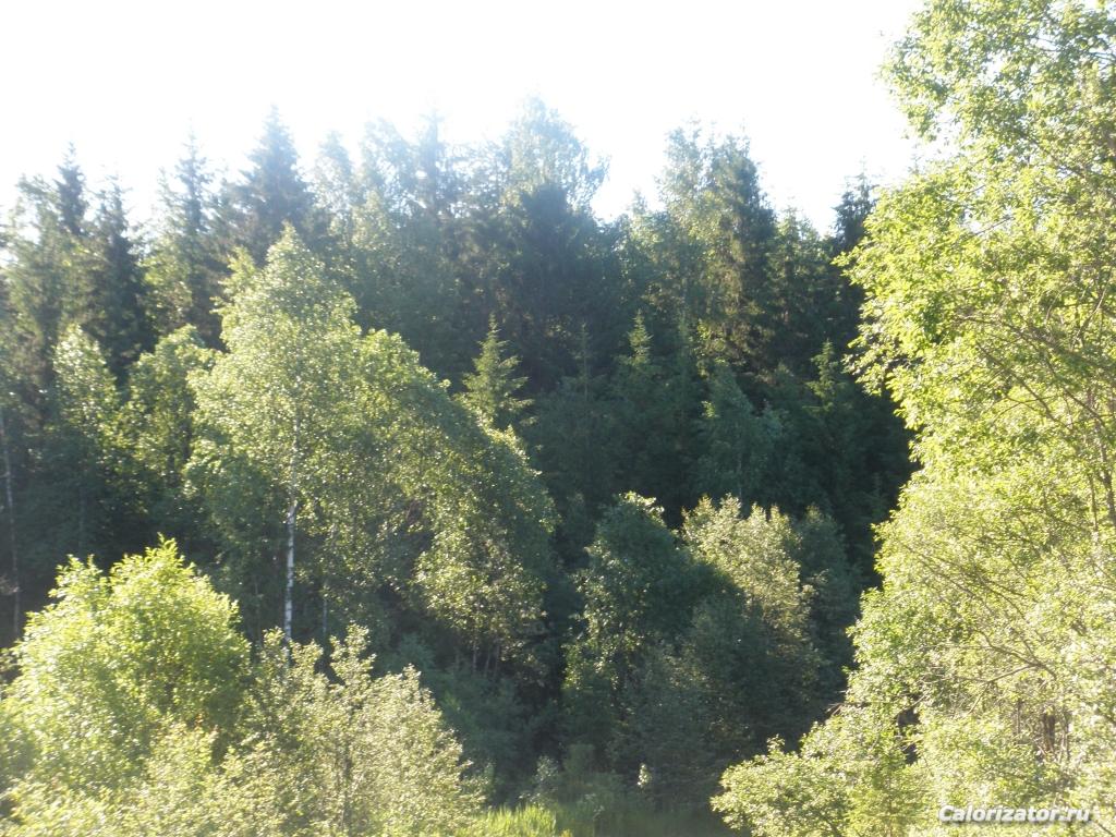 P6170073
