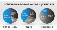 optimalnoe-sootnoshenie-belkov-zhirov-i-uglevodov-1[1]