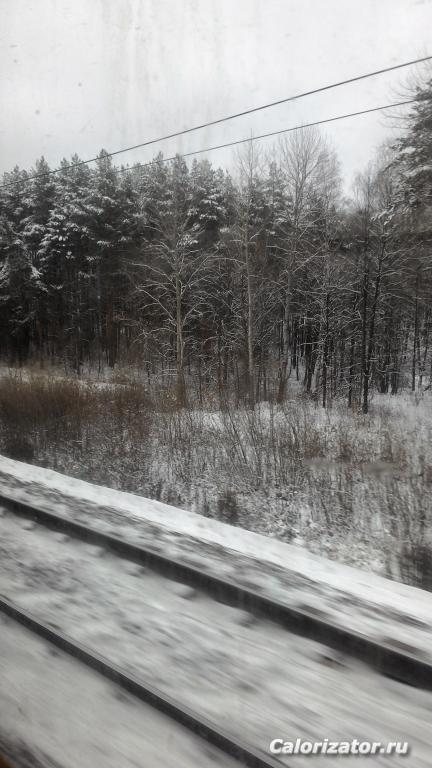 P 20161102 134438