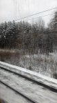 P 20161102 134438