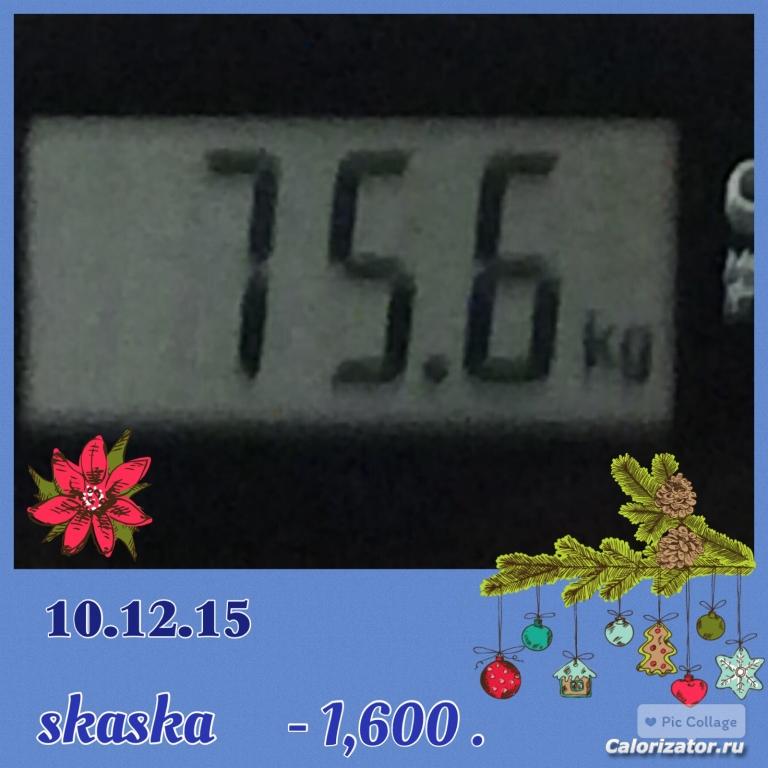 12 неделя