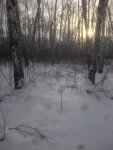 2015-12-19 12-07-03