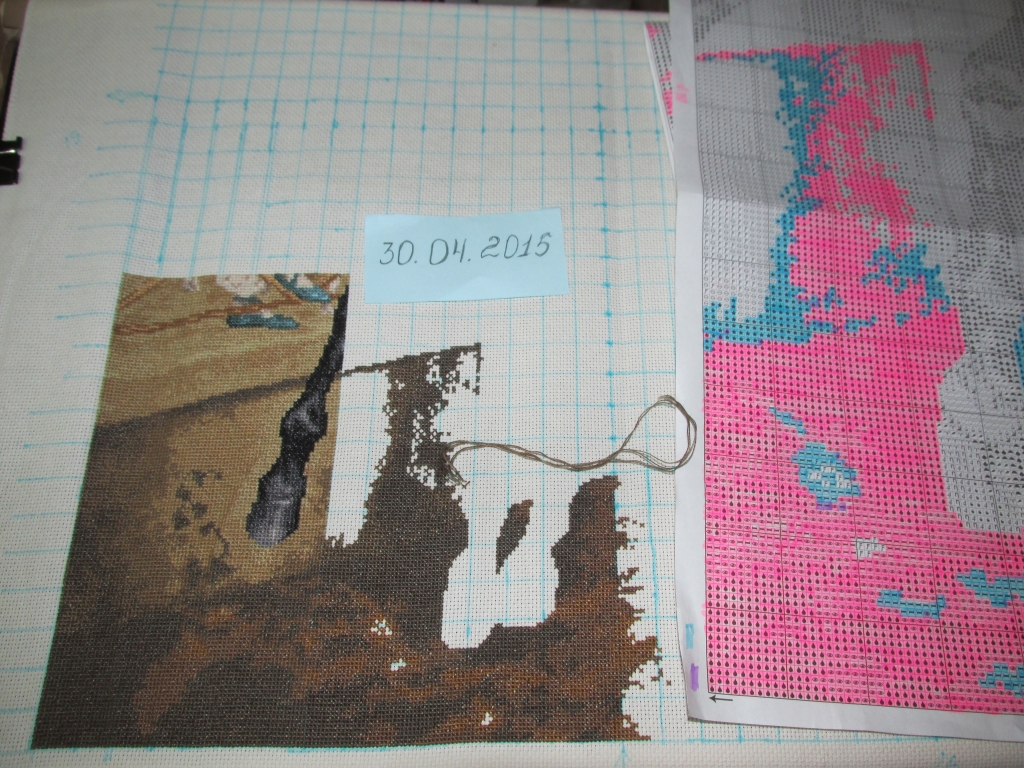IMG 0484
