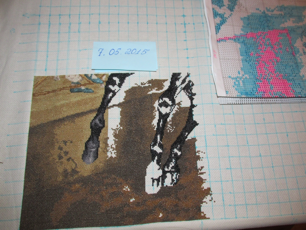 IMG 0490