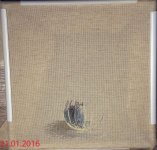 IMG 3942