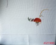 IMG 5351