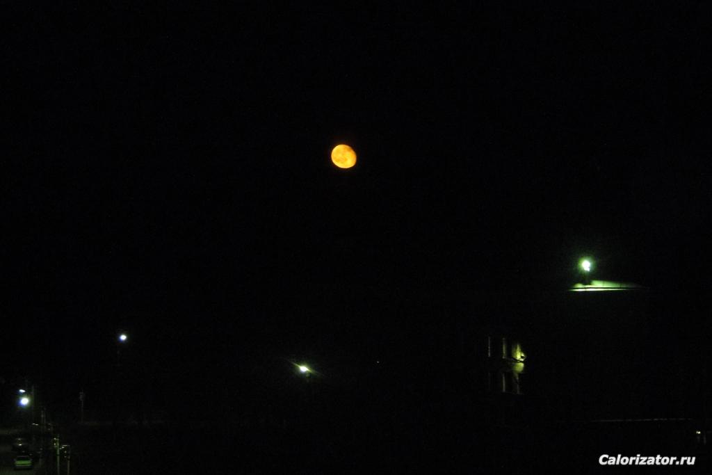 DSC00909 (2)