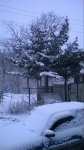 WP 20160228 004