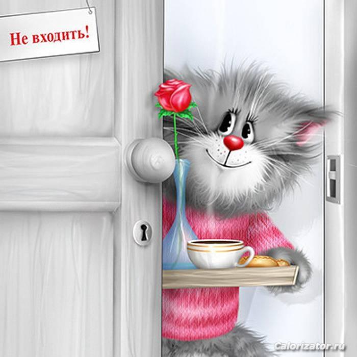 Доброе утро