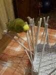 20171207 194630(0)