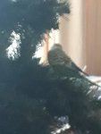 20171222 120434