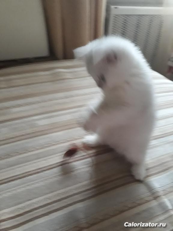 20180227 104401