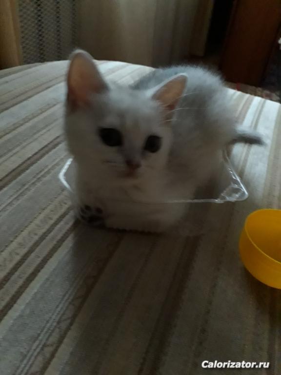 20180303 164948