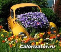 цветы1
