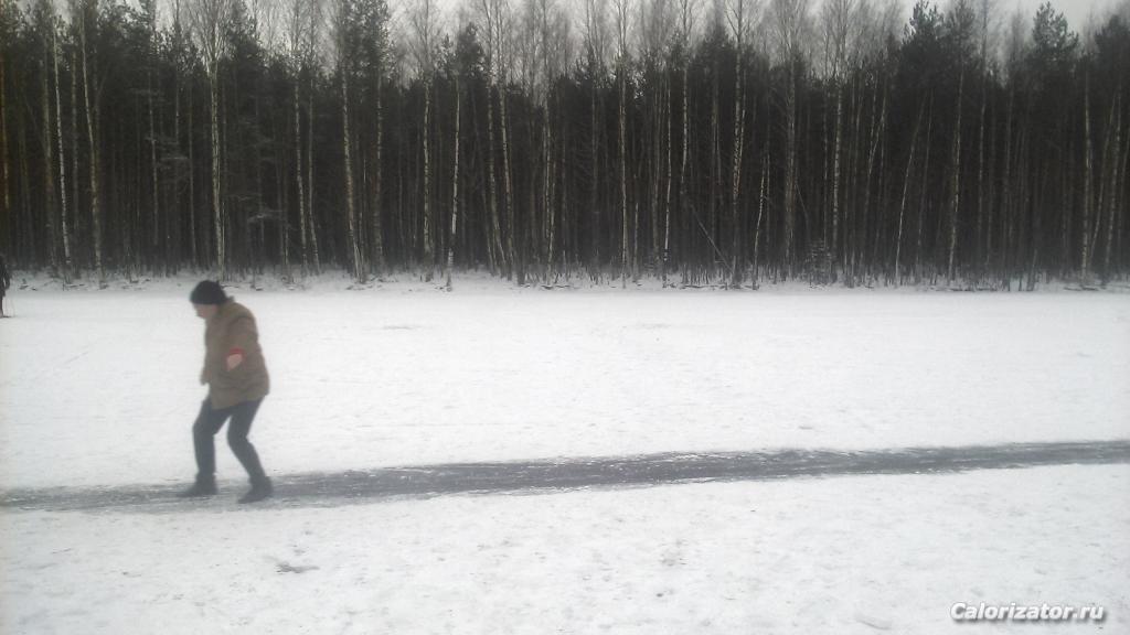 На пруду