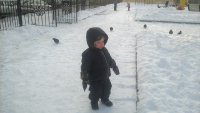 IMG 20160114 115230