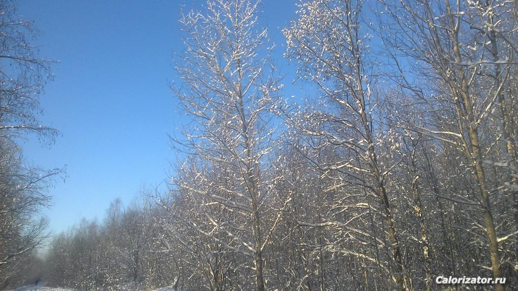 -20