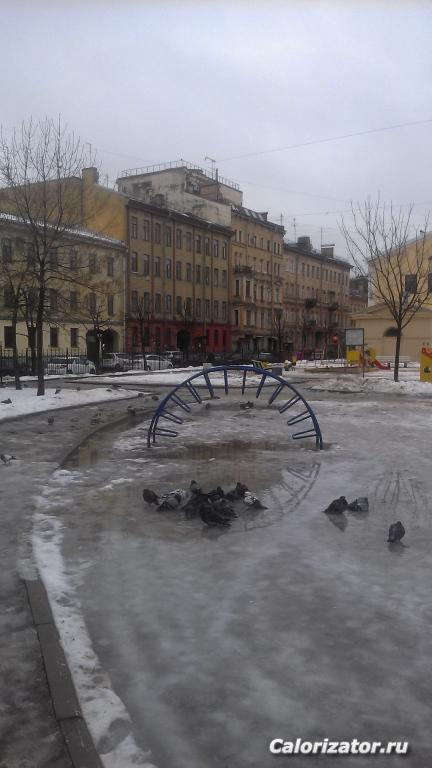 Голуби в садике на Гагаринской
