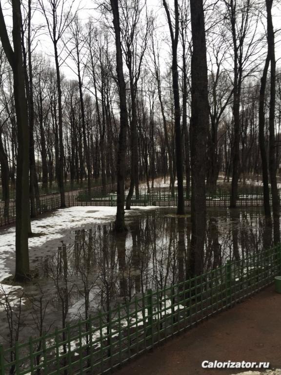 последний день января
