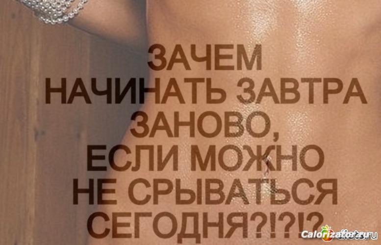 1008797 89174-550x500