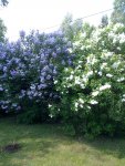 IMG 20150527 125815