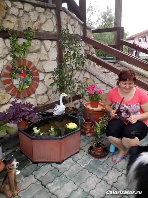 IMG 20150620 144413