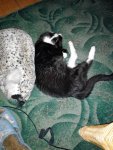 IMG 20150715 224008