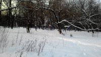 P 20160115 113702