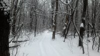 P 20160116 111737