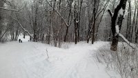 P 20160116 114214