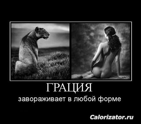 Грация