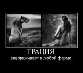 Грация