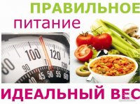 питание