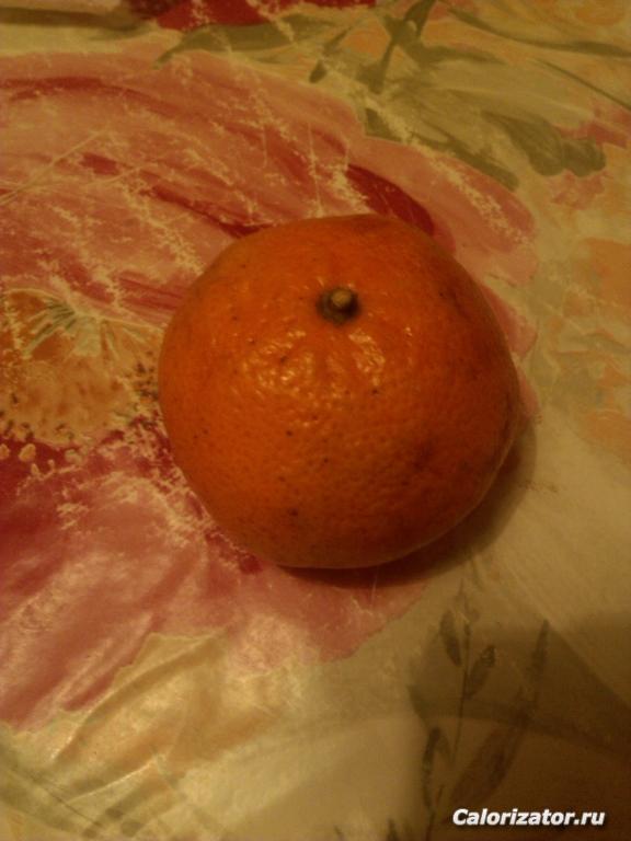 IMG 20160203 072328