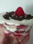 IMG 20160604 152228[1]