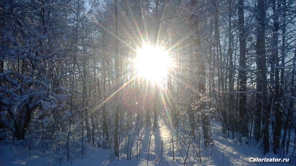 IMG 20160123 143338