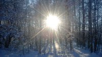 IMG 20160123 143338