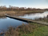IMG 20180114 160228665 HDR