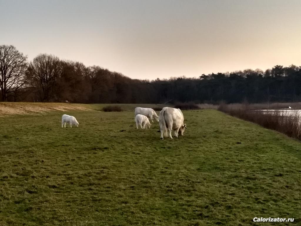 IMG 20180114 160530606 HDR