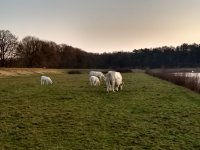 IMG 20180114 160530606 HDR