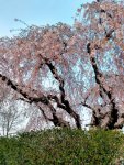 IMG 20190406 160658518 HDR