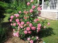 IMG 20160404 184552