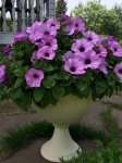 IMG 20160620 052322