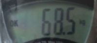 08.03