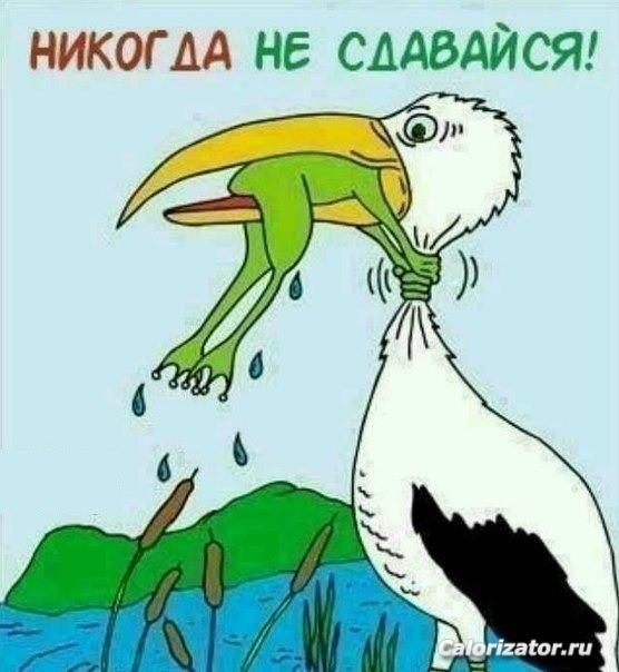 никогда не сдавайся