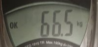 IMG 3084