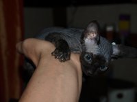 Королева Ланкрская Ее Величество Маграт Чесногк