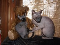 Shelma&Magrat